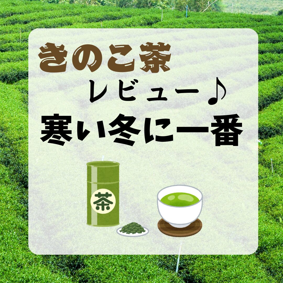 きのこ茶 レビュー｜寒さを忘れる味